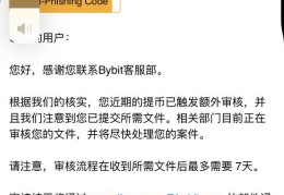 Bybit平台限制提币被风控